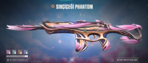 sırçiçeği phantom